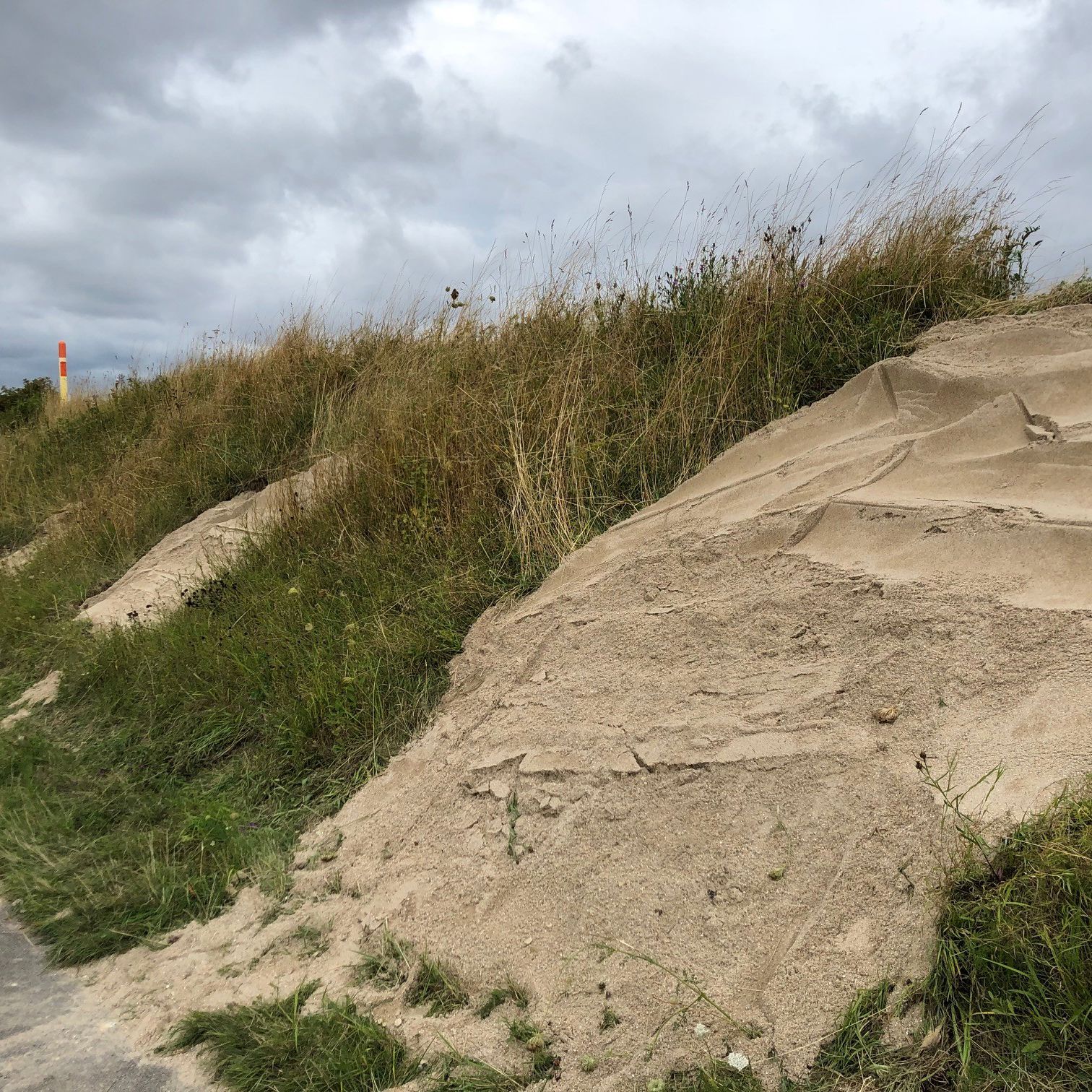Sandbunker, hvor markfirbenet kan lægge sine æg og få varmen.