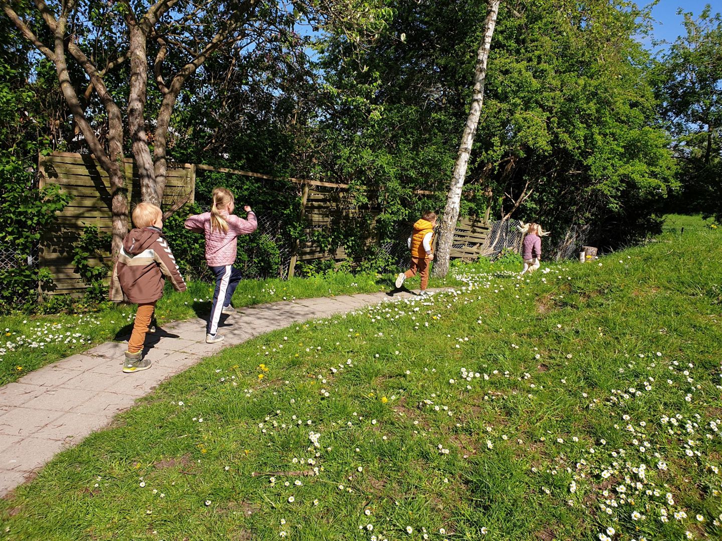 Hektor, Selina, Emilie og Leo leger "kongens efterfølgere" i haven
