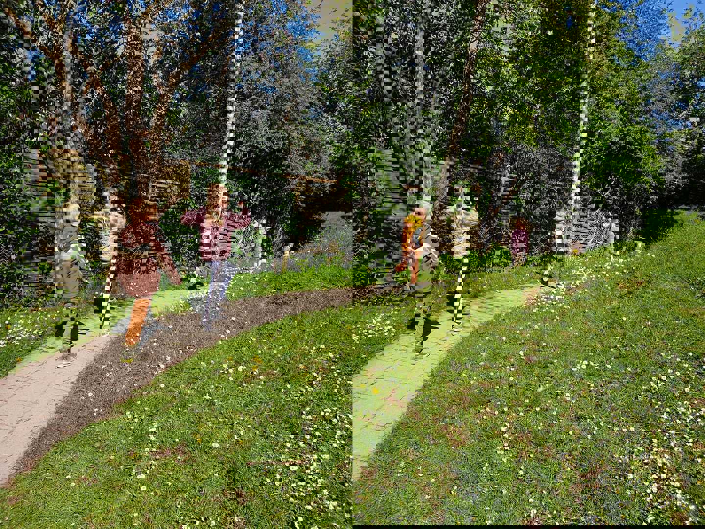 Hektor, Selina, Emilie og Leo leger "kongens efterfølgere" i haven