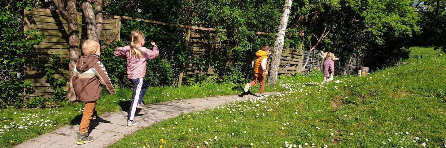 Hektor, Selina, Emilie og Leo leger "kongens efterfølgere" i haven