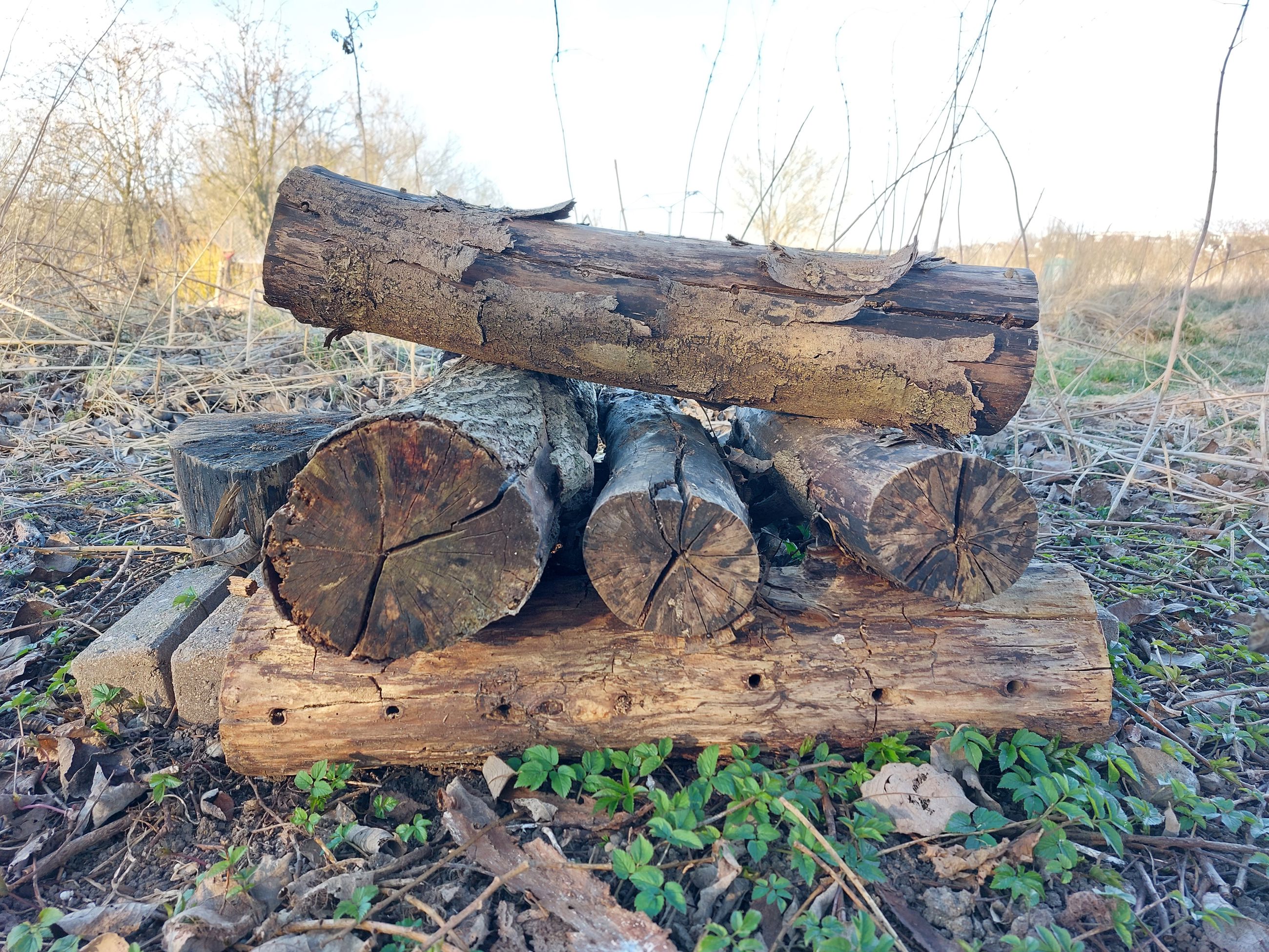 Stablede stykker træ, med borede huller til insekter.