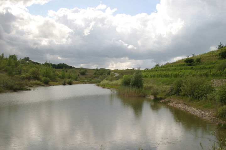 Sø i Hedeland