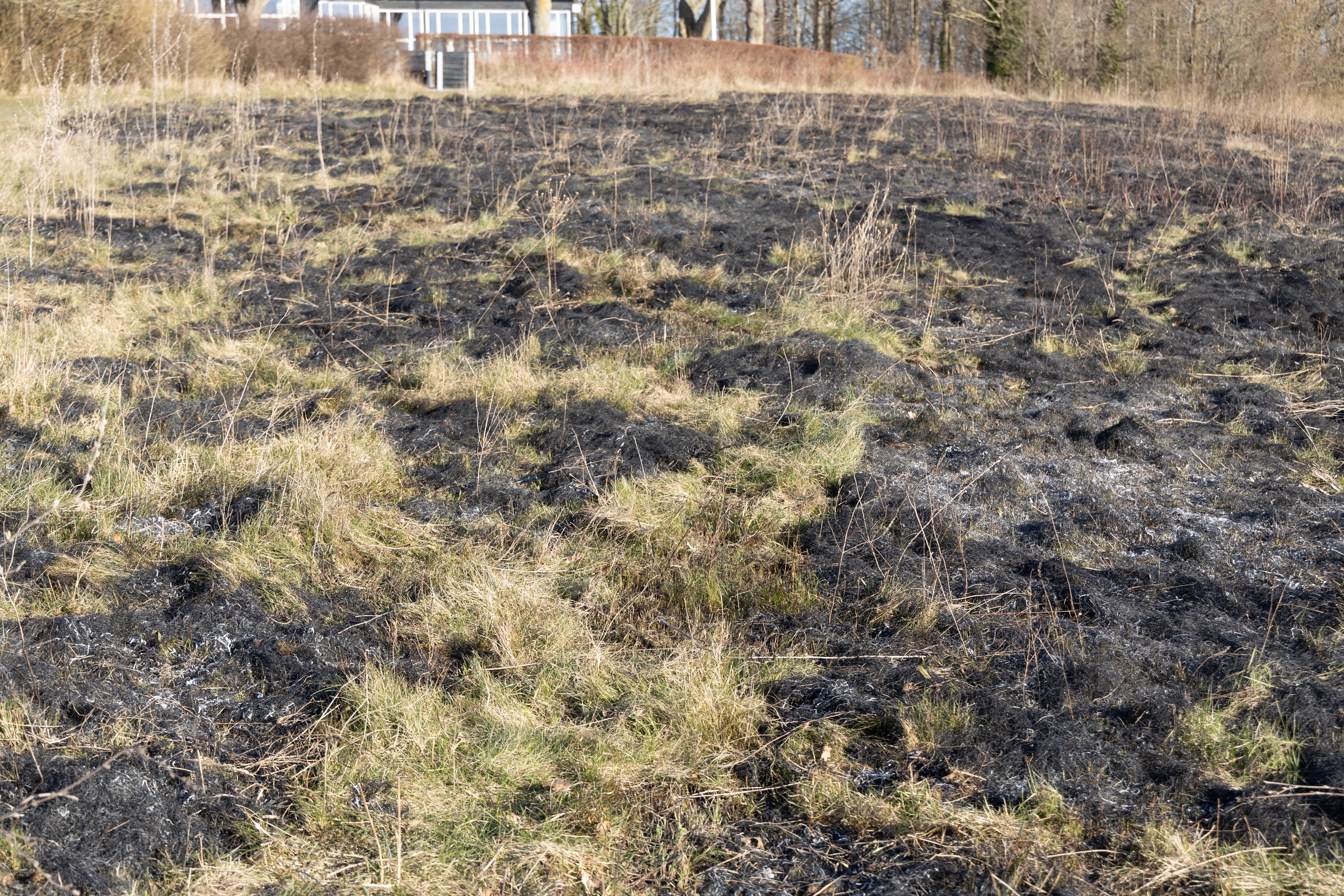 Her ses tydeligt hvordan ilden efterlader sig et mosaikmønster af bar jord og græs. 