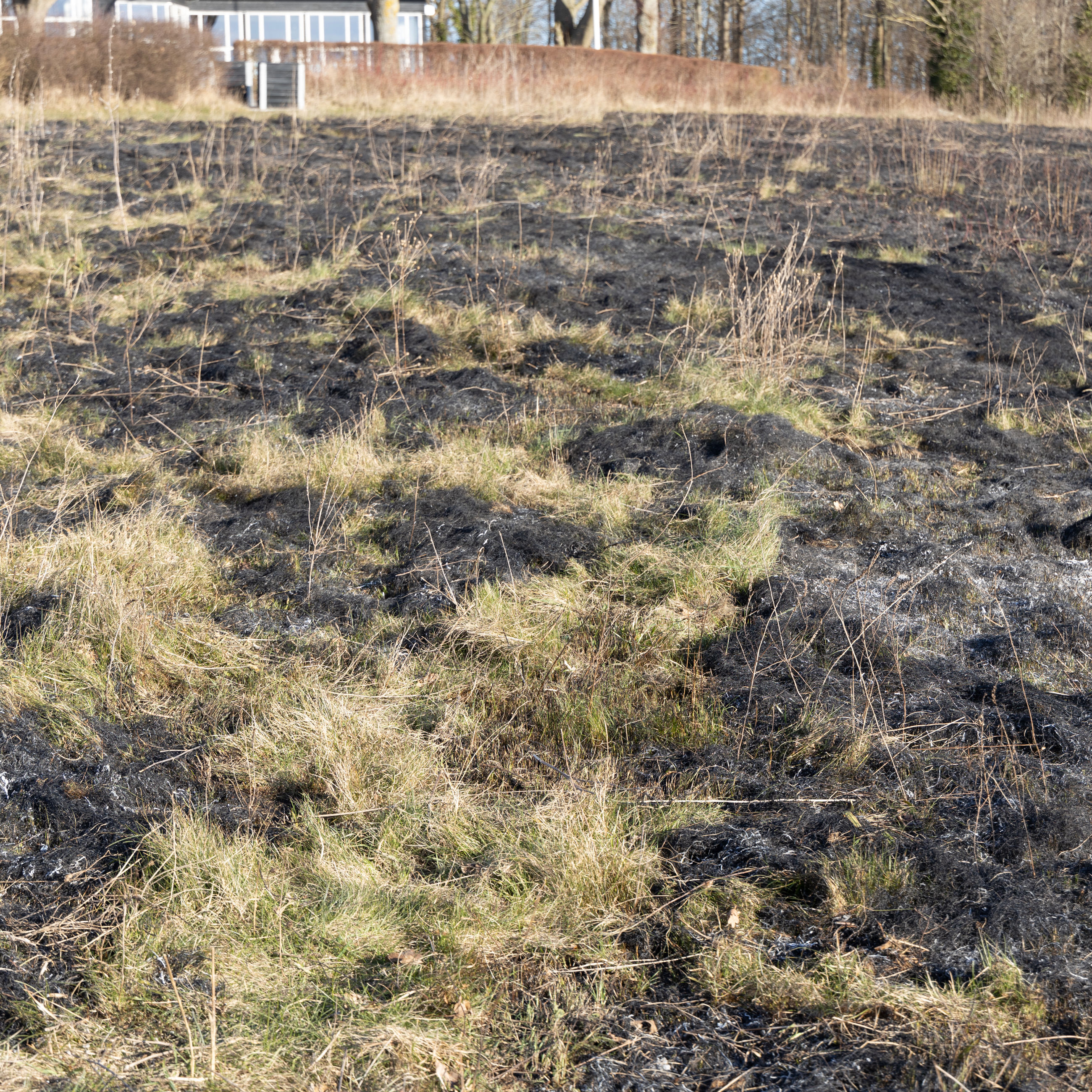 Her ses tydeligt hvordan ilden efterlader sig et mosaikmønster af bar jord og græs.