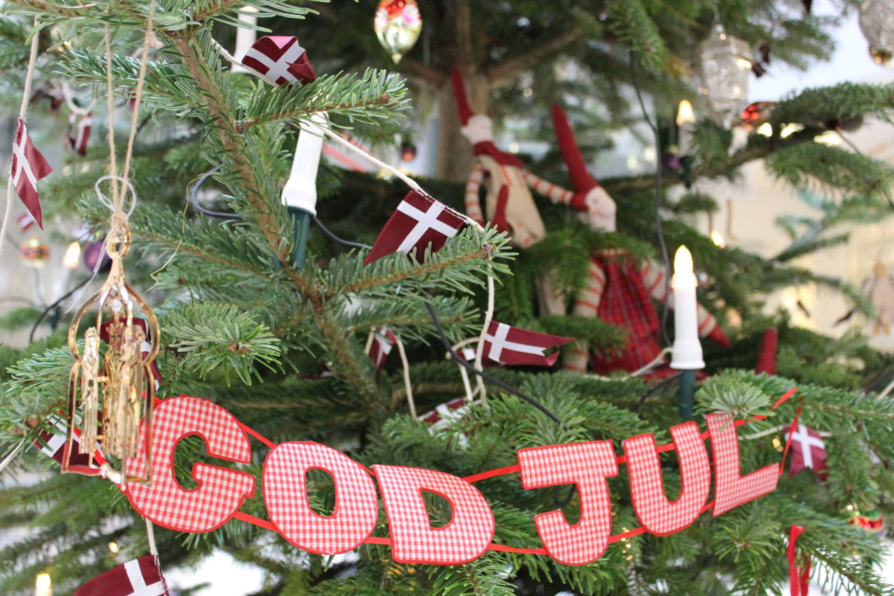 Juletræ med pynt