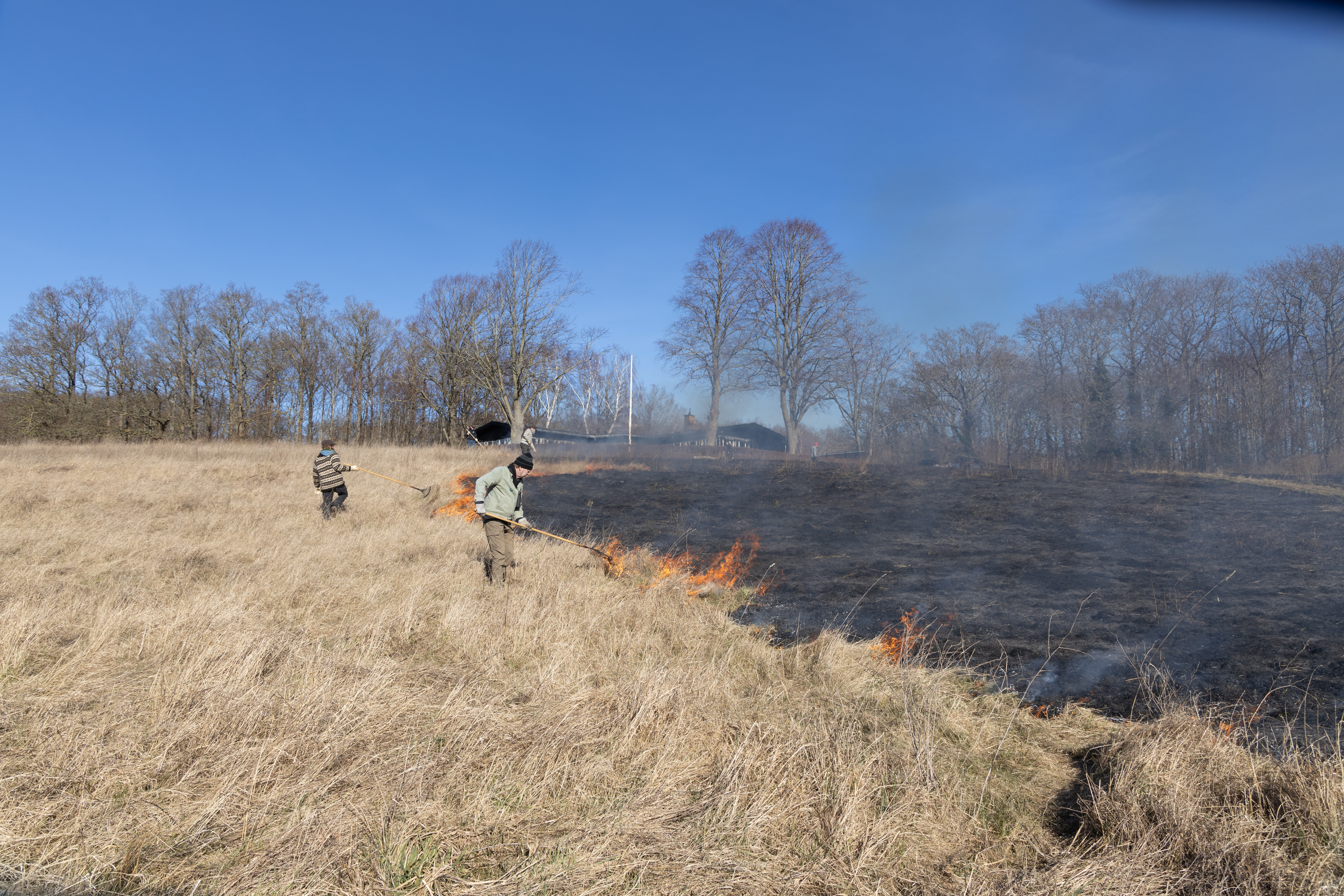 Afbrænding ved Vigen Strandpark