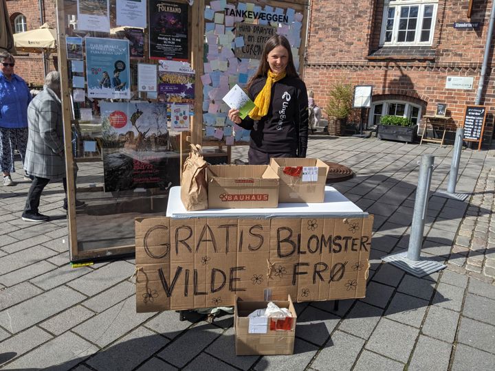 Frivillige fra UngEnergi Roskilde deler vilde blomsterfrø ud på Stændertorvet.
