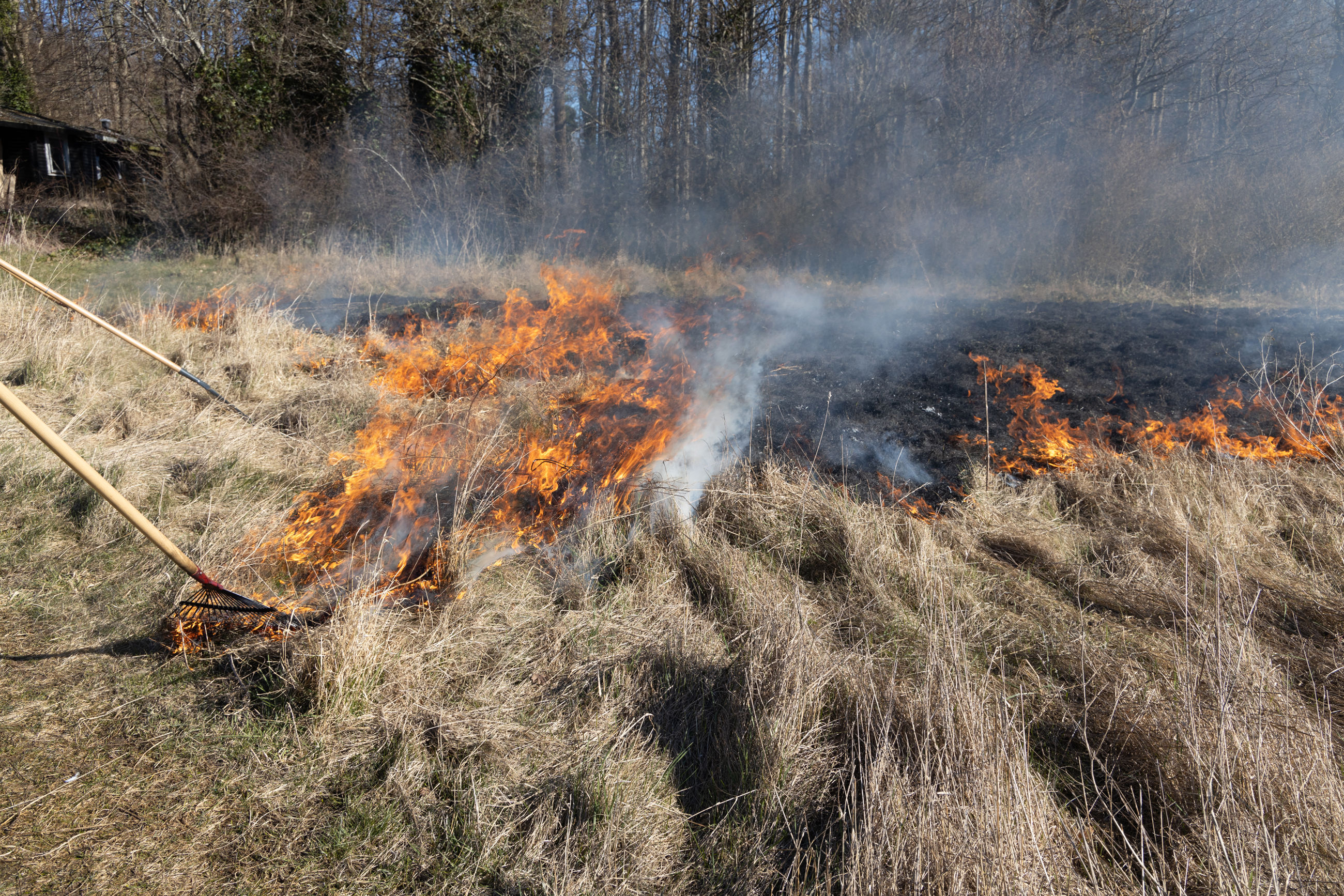 Vissent græs hen på foråret, har ikke en særlig høj brændværdi - derfor skal ilden hjælpes på vej.