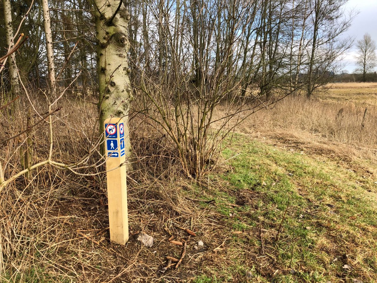 Pæl med pil i hvilken retning man skal gå