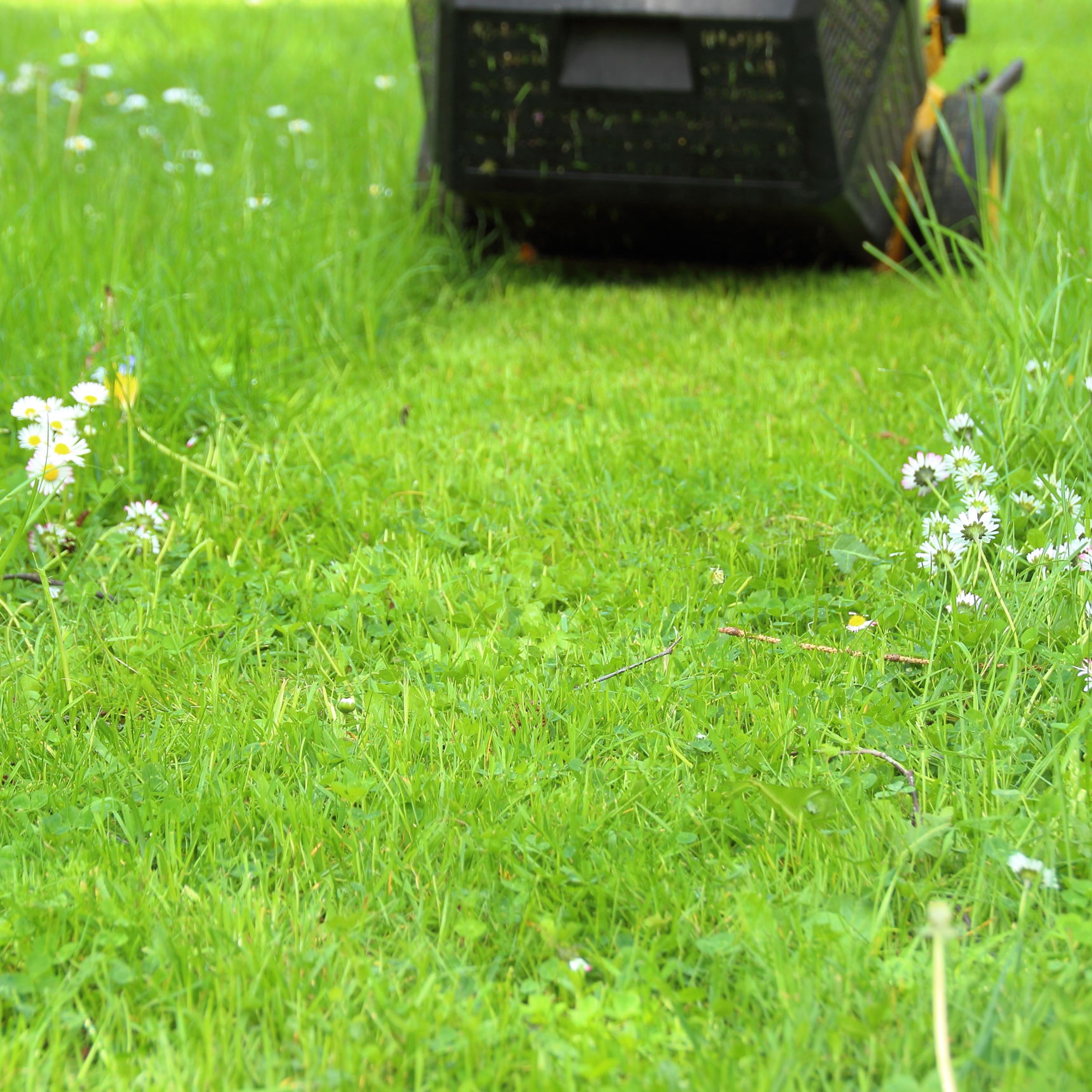 Græsplæne der bliver slået med græsslåmaskine.