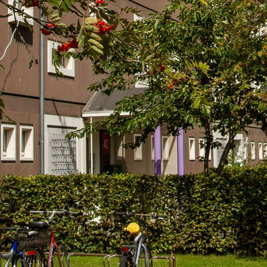 Integrationsboliger "Roen". Det er en brunlig bygning med masser af grøn natur foran.