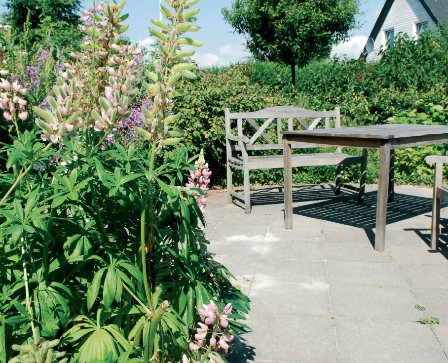 En bænk ved et plejecenter. Der er en masse farverige planter omkring den.