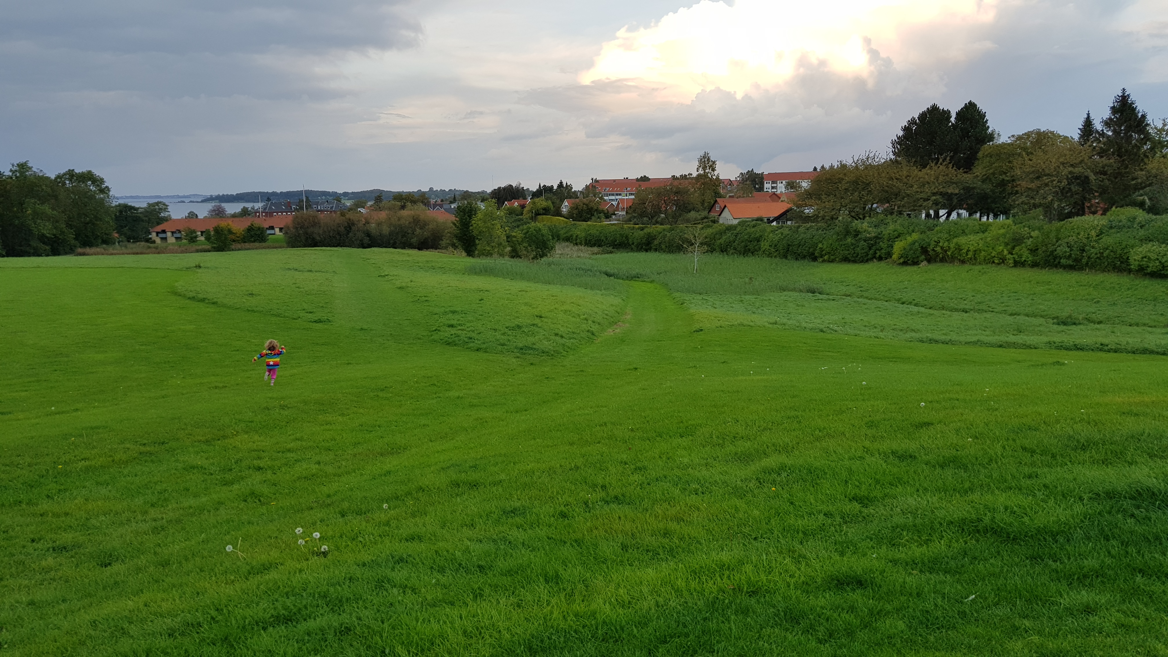 Udsigt fra toppen af amfiteatret i Folkeparken. 