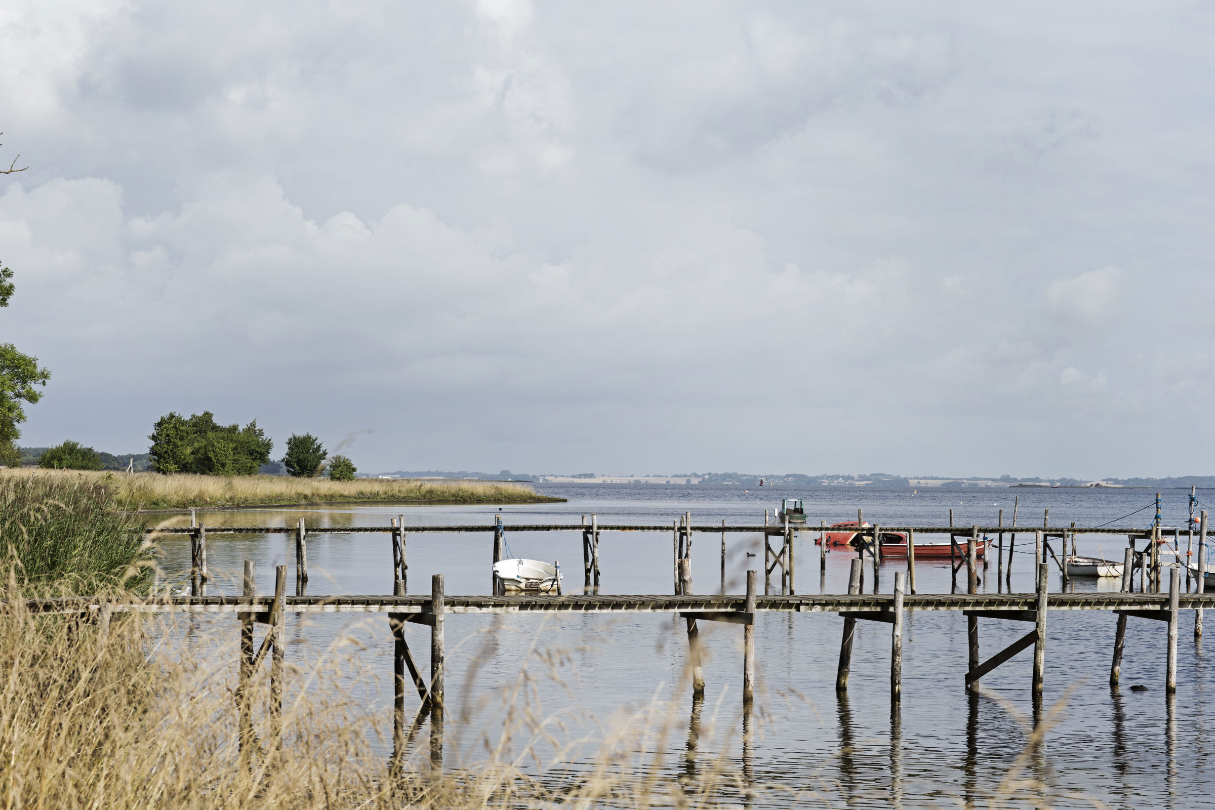 Veddelev