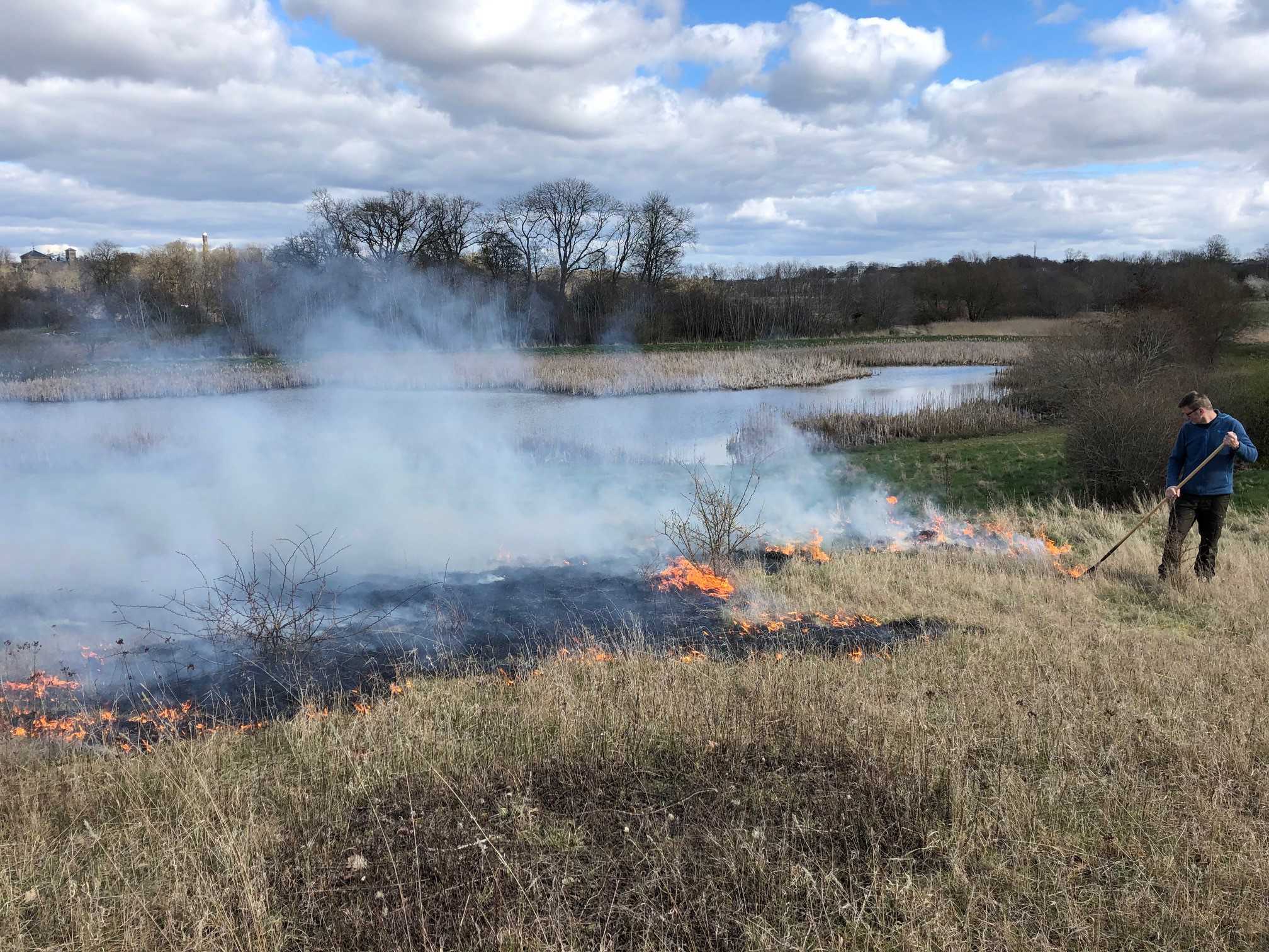Kontrolleret afbrænding ved Hørhusene
