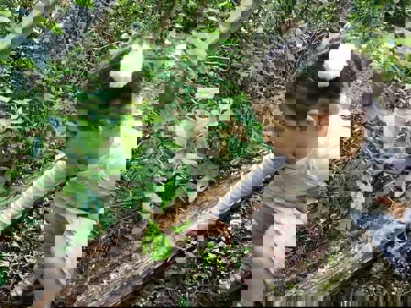 barn i skoven - Solgården Vuggestue