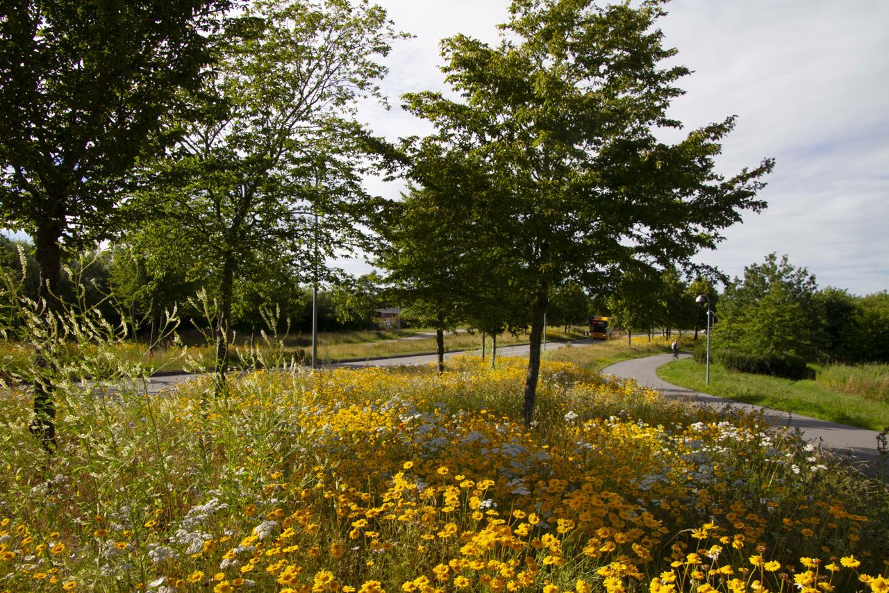 Nordens Parkvej i sommeren 2022.