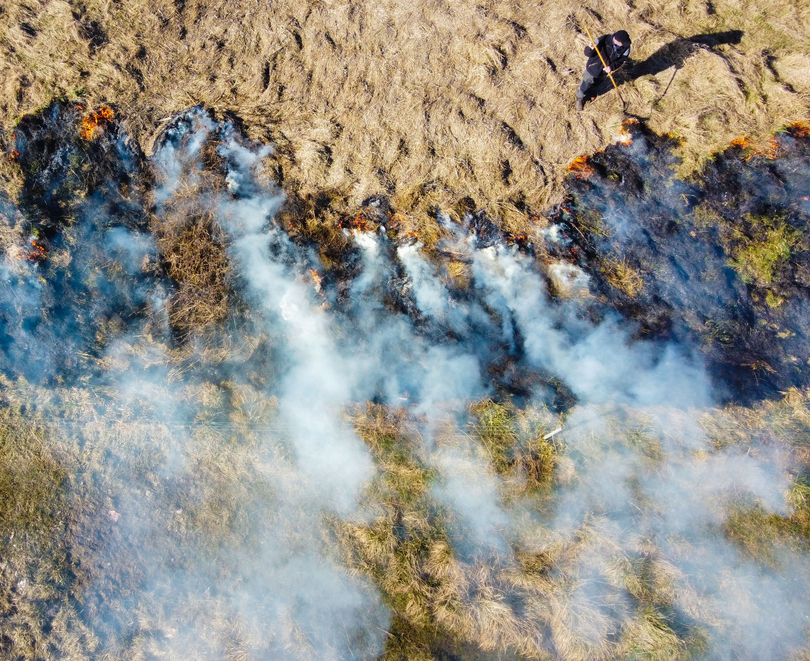 Kontrolleret afbrænding af førne ved Vigen Strandpark