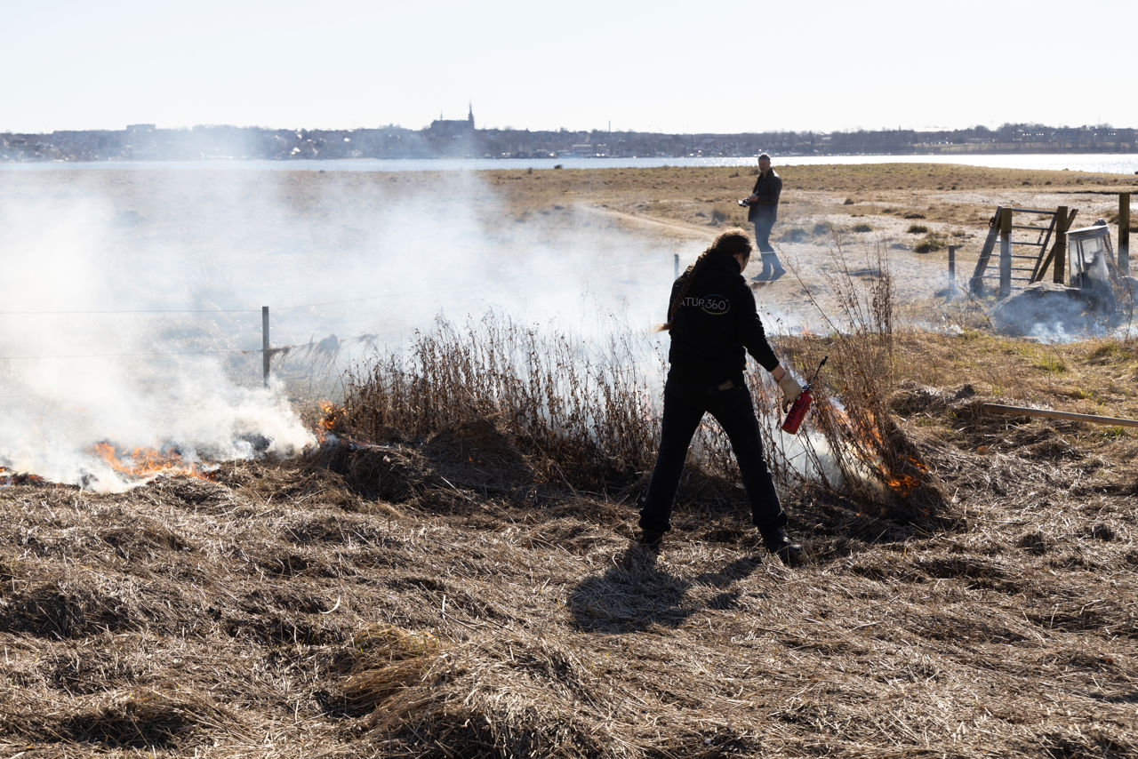Der sættes ild til førnen med en "meget stor lighter".