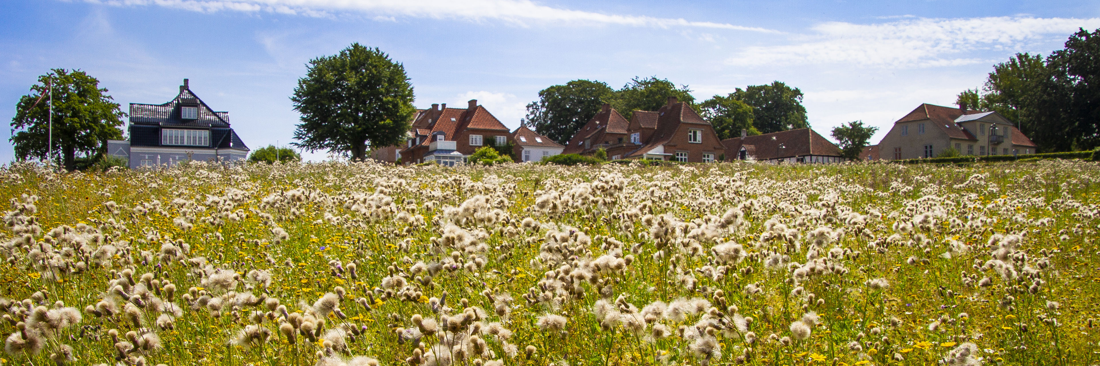 Biodiversitetspuljen