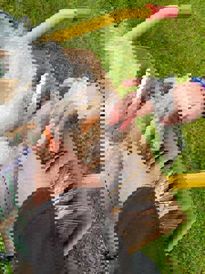 Frø 54 forskellige vilde blomsterarter